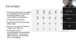 2024 5 Genetics in paediatrics I [upl. by Maryly]