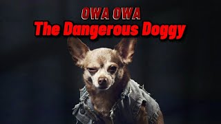 OWA OWA  The Dangerous Doggy pudgywoke  Tiktok Song by Robertgracemusic  Lyrics [upl. by Leahicm]