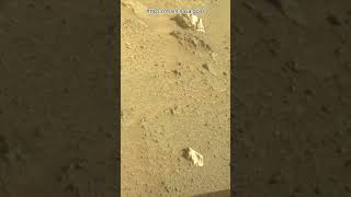 Perseverance Rover Sol 1315  Mars New 4k Video  Mars 4k Video  Mars In 4k  Mars shorts [upl. by Ahsa]