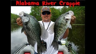 A Simple Way To Locate and Catch Loads Of Slab Crappie [upl. by Steffy622]