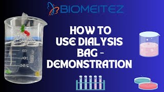 How to use Dialysis tubes or Bag  Protein Dialysis Demonstration [upl. by Aronel35]