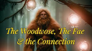 Woodwose Fae amp the Connection in Between [upl. by Coady415]