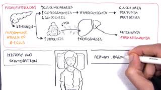 Diabetic Ketoacidosis Diabetes Type 1MedicoLover  MCI FMGE Study Medicine and surgery [upl. by Tallulah]