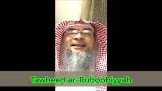 Three types of Tawheed Tawheed Ruboobiya Tawheed Uloohiya Tawheed Asma wa Sifat  Assim al hakeem [upl. by Nibot]