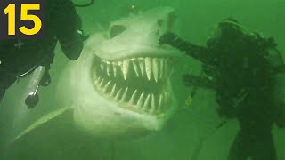 TOP 15 Strangest Things Found By Deep Sea Divers [upl. by Acinimod]