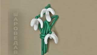 Подснежник Галантус из шаров Snowdrop from balloons [upl. by Oluap]