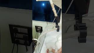 Ventilator Support for NICU New Born Baby viralvideo newbornbaby ventilador nicubaby nicu [upl. by Quentin729]