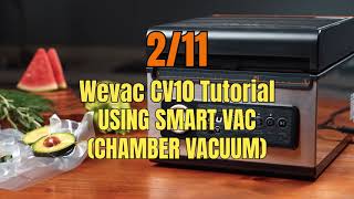 Wevac CV10 Tutorial 211 Using Smart Vac Chamber Vacuum [upl. by Azalea656]