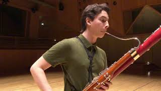 Paganini Caprice No 5  Theo Plath bassoon [upl. by Oneal]