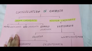 Classification of chordata with tips and tricks  How to learn it [upl. by Nospmoht]