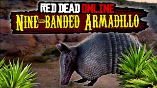 RDR2 Ninebanded Armadillo Best Locations and tips in Red Dead 2 Red Dead Online [upl. by Ynnohj]