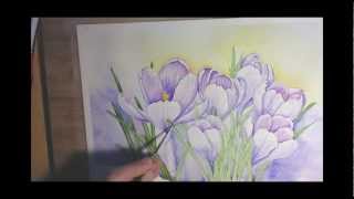 Crocuses in Watercolor  Painting Process [upl. by Adnirual95]