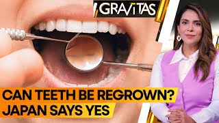 Gravitas Losing teeth This drug can regrow them  WION [upl. by Eaver]