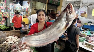 Market show Buy big river fish and cooking  Cooking with Sreypov [upl. by Llemij]