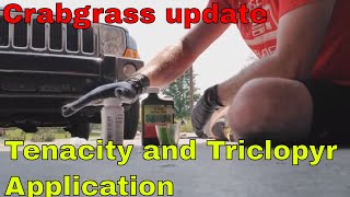 Crabgrass update tenacity and triclopyr application [upl. by Aennyl]