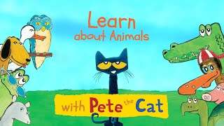 Learn about Animals with Pete the Cat [upl. by Atinit]