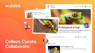 Wakelet Collect Curate Collaborate [upl. by Emirak211]