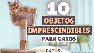 Qué NECESITA un gato 10 objetos IMPRESCINDIBLES ✔️ [upl. by Moria]