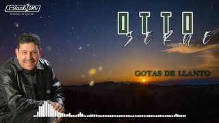 Otto Serge  Gotas de Llanto Video Lyric [upl. by Kissel]