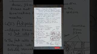 Connective Tissues Part7  Tissue class 9th  shorts [upl. by Nylidnam]