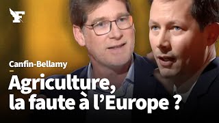 Colère des agriculteurs  débat entre FrançoisXavier Bellamy et Pascal Canfin [upl. by Aizatsana]