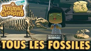 Tous les Ossement  Visite du Musée  Partie Fossile finie à 100   Animal Crossing New Horizons [upl. by Rosana894]