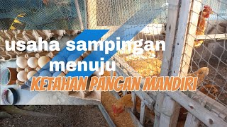 Usaha sampingan di belakang rumah [upl. by Adnihc210]