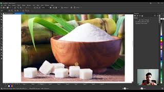 15 Coreldraw Basic Tutorial for Beginners Class 15 Zoom Tool [upl. by Retepnhoj898]