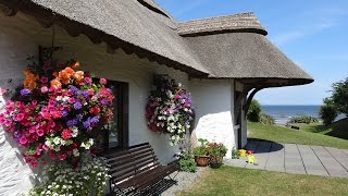 Summer at The Cottages Ireland [upl. by Einahc]