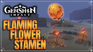 Flaming Flower Stamen Farming Route 【Genshin Impact】 [upl. by Mikel]