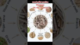 Wood Pellet Machine  Make pellets at home  Flat die type [upl. by Fording244]