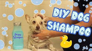 DIY Dog Shampoo  Pet DIYs [upl. by Cliffes]