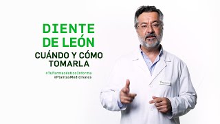 Diente de león cuándo y cómo tomarlo Tu Farmacéutico Informa  PlantasMedicinales [upl. by Yorel426]