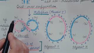 TranslocationChromosomal Aberration Part 3Genetics [upl. by Aleafar]