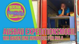 Wir bauen Nalas Hundebox  Ausbau Expeditionsmobil  Wohnmobil  S1 🌍 E10 [upl. by Hayse]