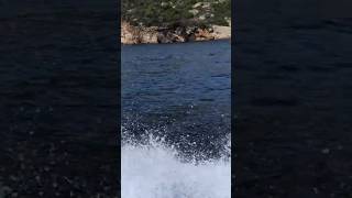 Zante Holiday Boat Trip Wave running holiday boat travel [upl. by Enutrof]