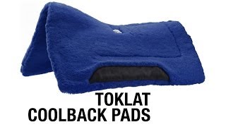 Toklat CoolBack Pads [upl. by Anilosi]