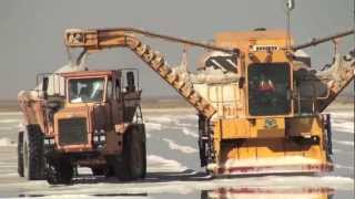 Salt harvesting in Walvis Bay Namibia [upl. by Murdocca]