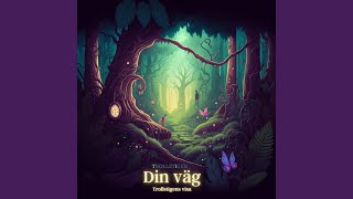 Din Väg Trollstigens Visa [upl. by Niel196]