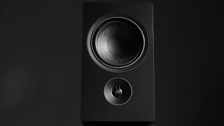 Review The PSB Alpha P5 Bookshelf Loudspeakers [upl. by Yk]