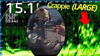 SUMMER CRAPPIE FISHING LiveScope  Brushpiles [upl. by Dannie]