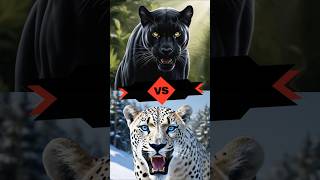 Black Panther VS Apex Predators Tiger Wolf Lion animal blackpanther tiger lion wolf [upl. by Lletnuahs507]