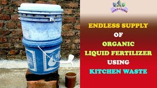 How to get an endless supply of an organic liquid fertilizer using kitchen waste [upl. by Terrye234]