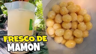 La RECETA SECRETA del FRESCO DE MAMON del Patechucho [upl. by Aniluj]