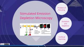 STED Microscopy [upl. by Green]