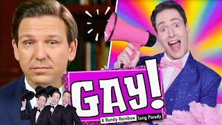 GAY  A Randy Rainbow Song Parody [upl. by Ayihsa]