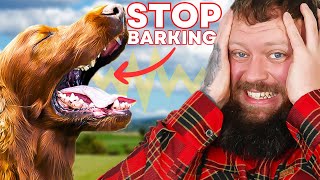 How To Stop Your Dog Barking  You Can Do This Right Now [upl. by Brout]