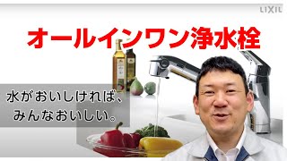 【水道職人ながちゃん】LIXIL（INAX）オールインワン浄水栓を交換で取り付けてみた！ [upl. by Gerti]