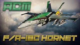 DCS F18 ACM Modes Tutorial [upl. by Janenna179]