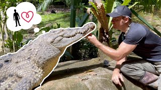 Rescued Crocodile Remembers Chris TWO YEARS LATER [upl. by Nicki]